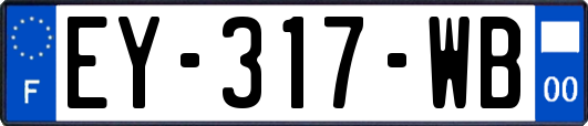 EY-317-WB