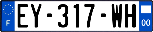 EY-317-WH