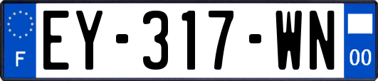 EY-317-WN