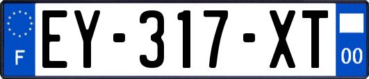 EY-317-XT