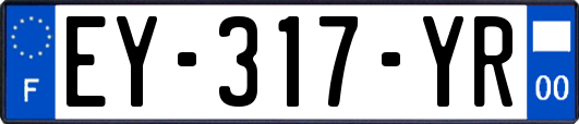 EY-317-YR