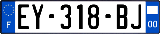 EY-318-BJ