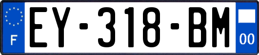 EY-318-BM