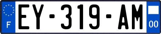 EY-319-AM