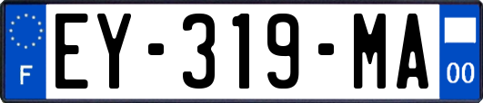 EY-319-MA