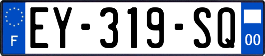 EY-319-SQ