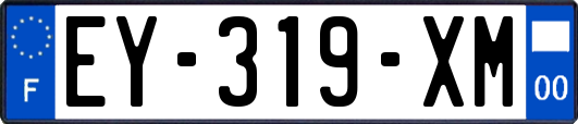 EY-319-XM