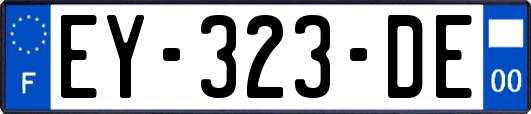 EY-323-DE