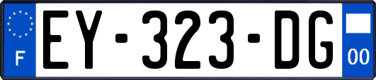 EY-323-DG