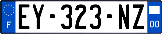 EY-323-NZ