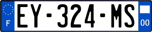 EY-324-MS