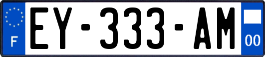 EY-333-AM