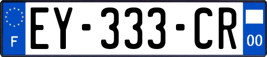 EY-333-CR