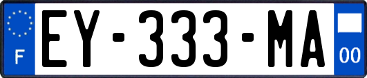 EY-333-MA