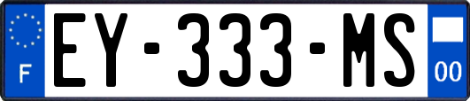 EY-333-MS