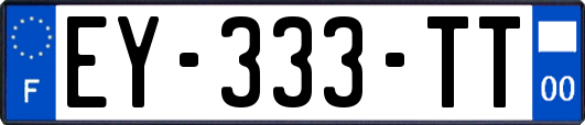 EY-333-TT