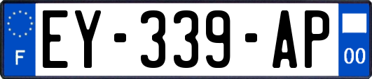 EY-339-AP