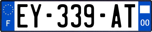 EY-339-AT