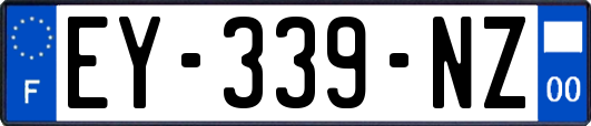 EY-339-NZ