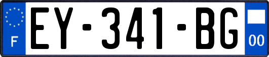 EY-341-BG