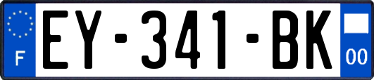 EY-341-BK