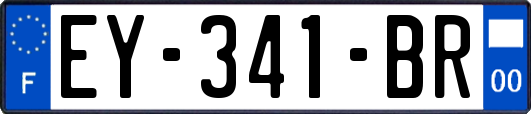 EY-341-BR