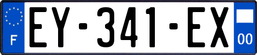 EY-341-EX