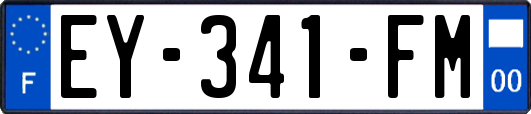 EY-341-FM