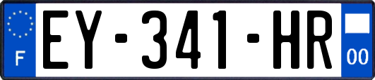 EY-341-HR