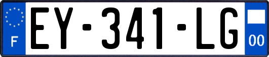 EY-341-LG