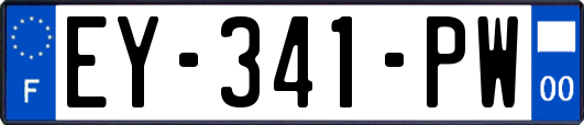 EY-341-PW