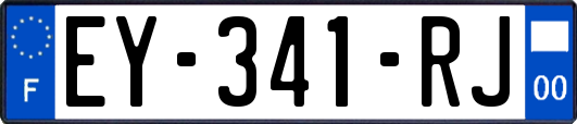 EY-341-RJ