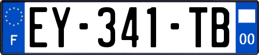 EY-341-TB