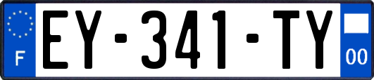 EY-341-TY