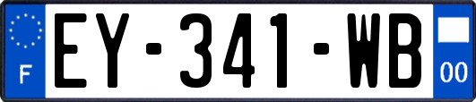 EY-341-WB