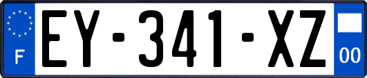 EY-341-XZ