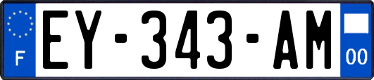 EY-343-AM