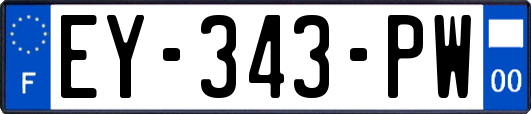 EY-343-PW