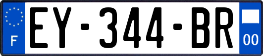 EY-344-BR