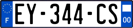 EY-344-CS