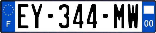 EY-344-MW