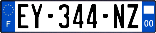 EY-344-NZ