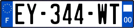 EY-344-WT