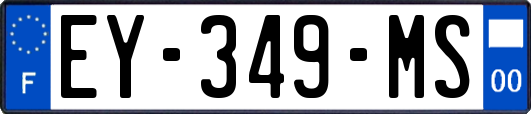 EY-349-MS