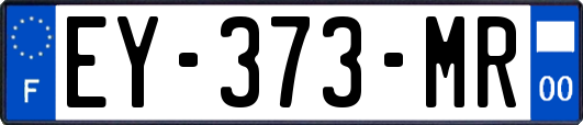EY-373-MR
