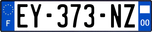 EY-373-NZ