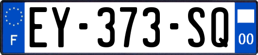 EY-373-SQ
