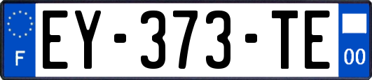 EY-373-TE