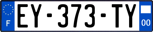 EY-373-TY