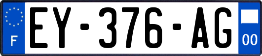 EY-376-AG